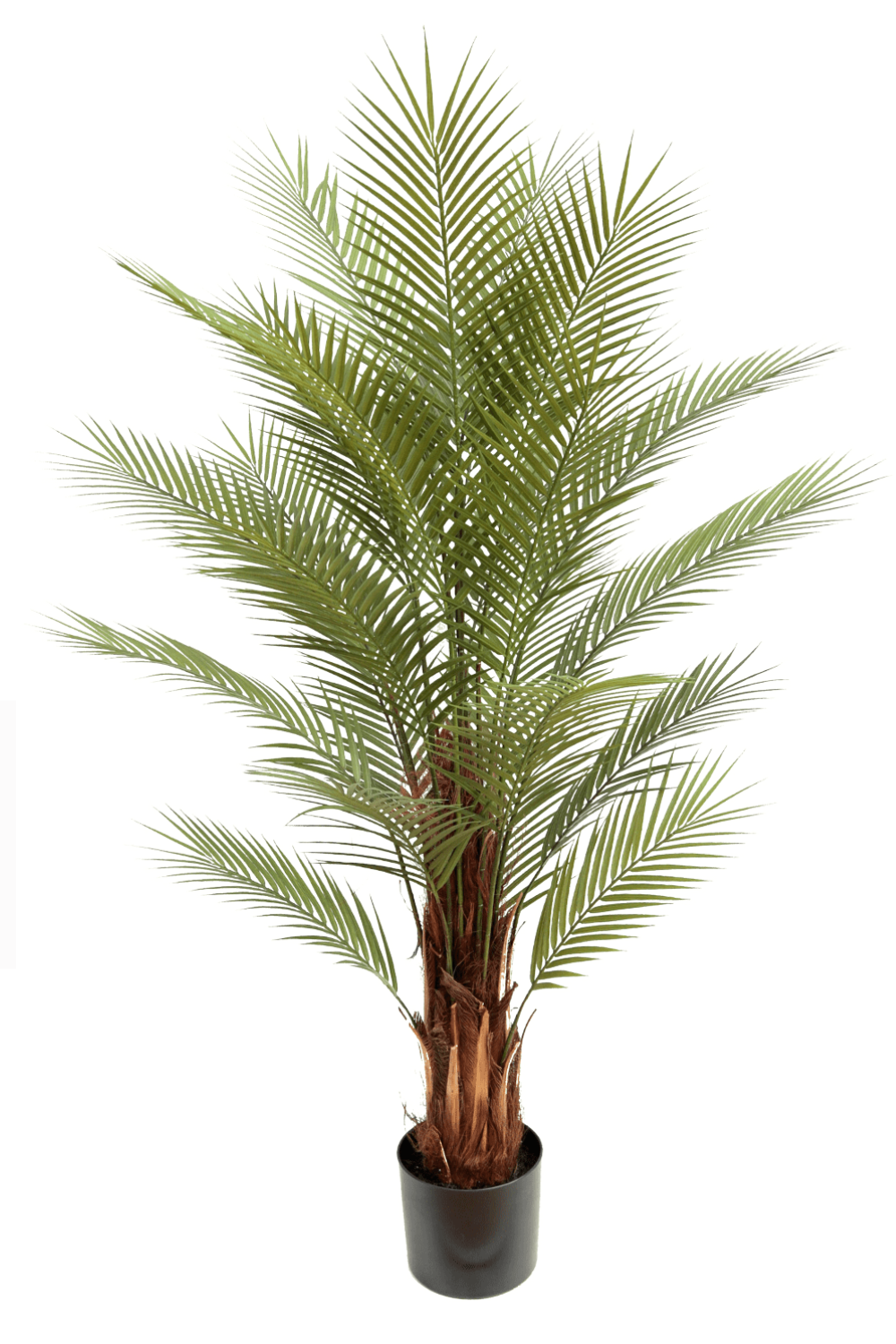 Palme Kunstpflanze 150cm