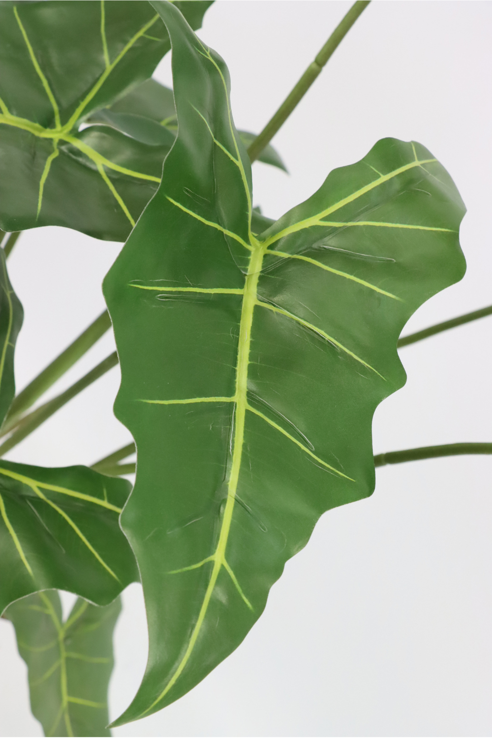 Alocasia Kunstpflanze 60cm