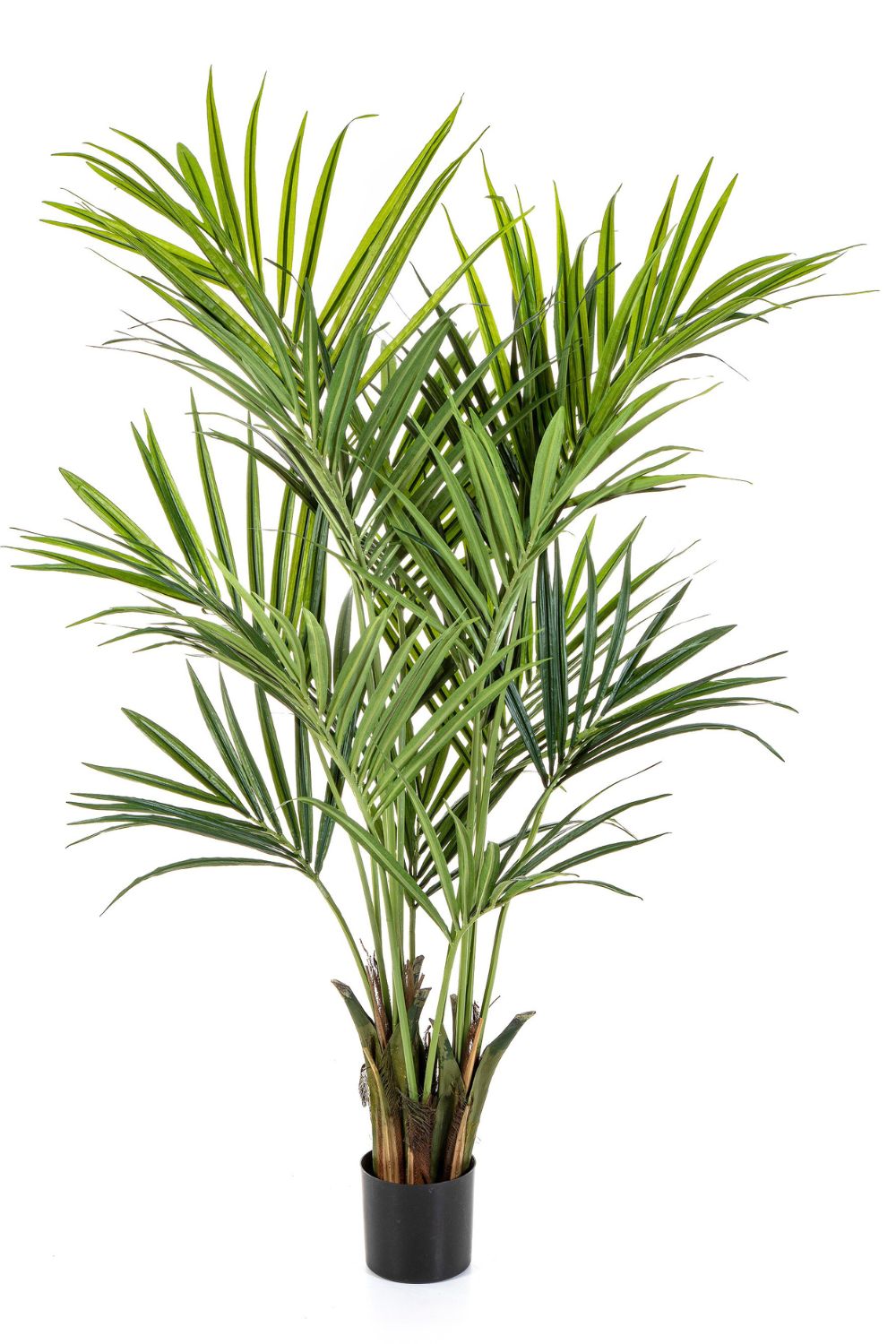 Vorbestellung Künstliche palme Kentia 180cm