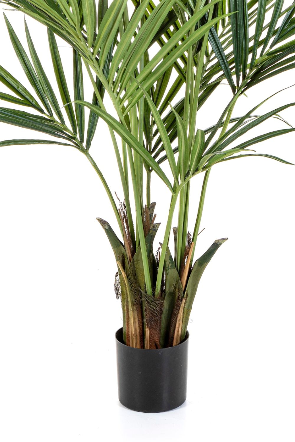 Künstliche palme Kentia 180cm