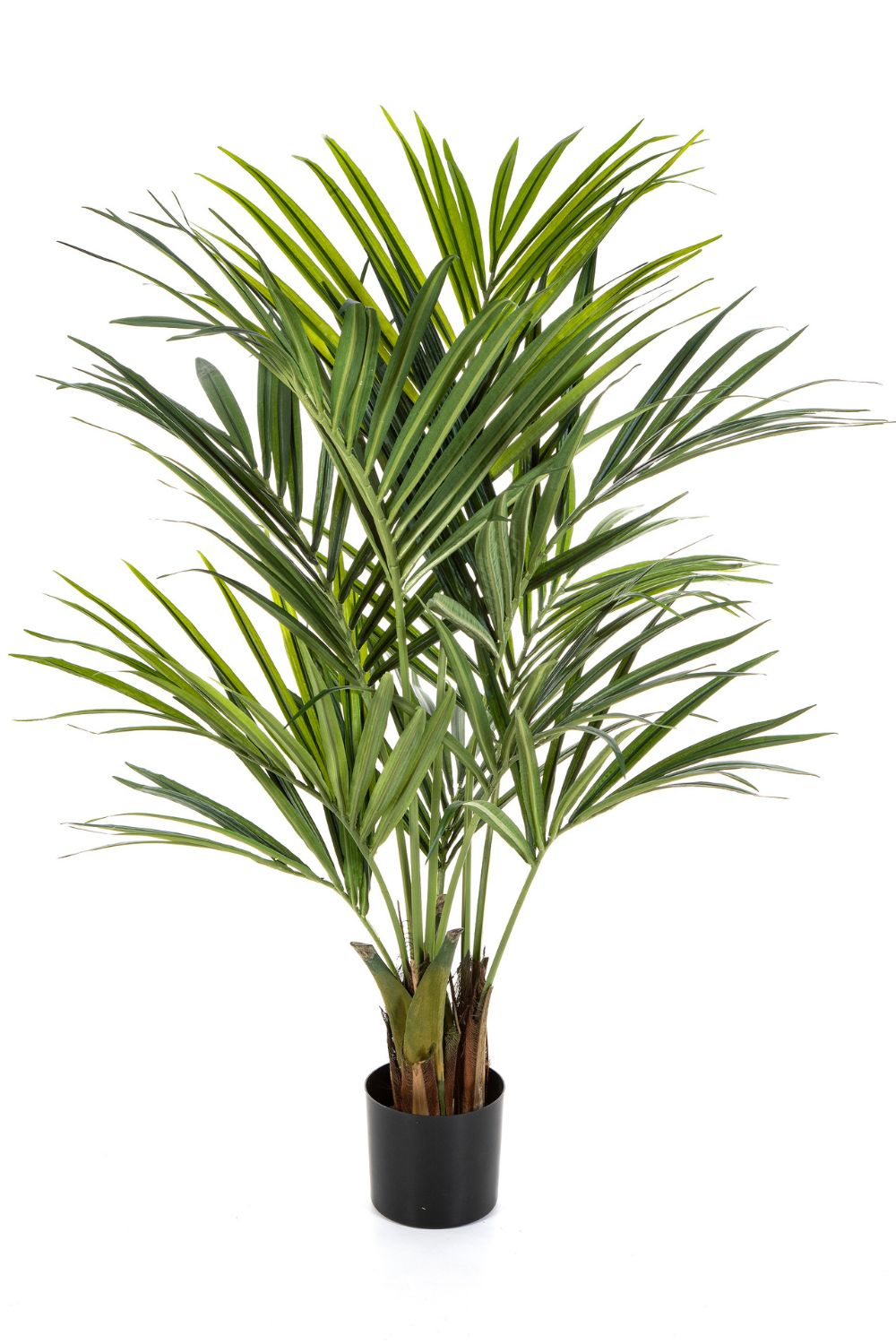 Vorbestellung Künstliche palme Kentia 150cm
