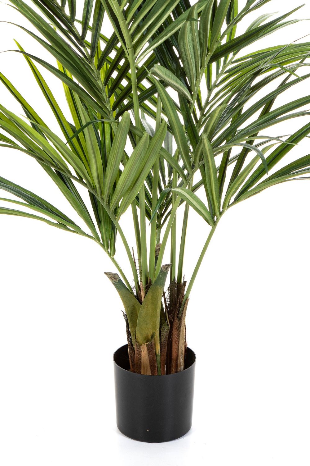 Künstliche palme Kentia 150cm