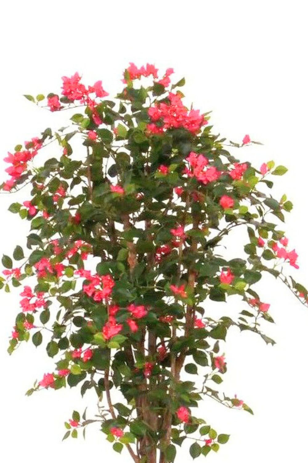 Bougainvillea Kunstbaum 180cm