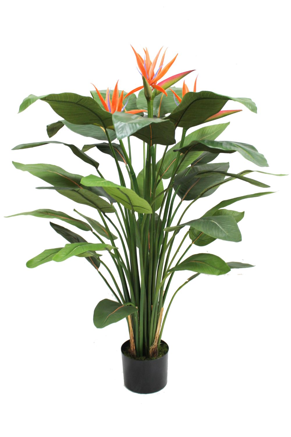 Vorbestellung Strelitzie Kunstpflanze mit Blume 120cm