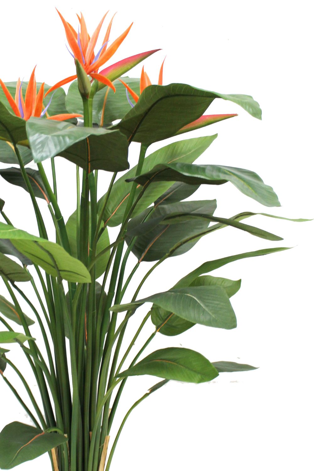 Vorbestellung Strelitzie Kunstpflanze mit Blume 120cm
