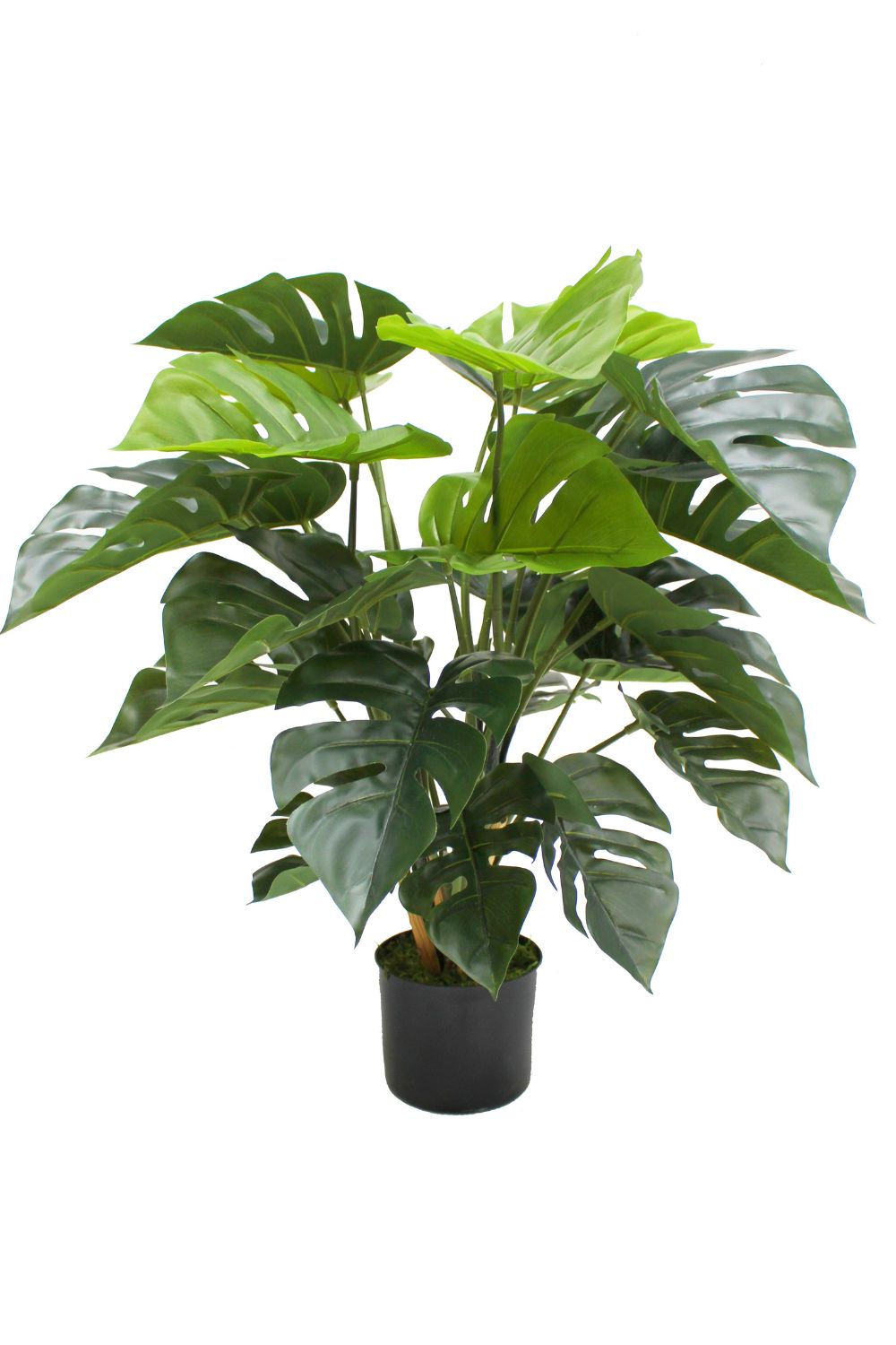 Vorbestellung Monstera Kunstpflanze 65cm