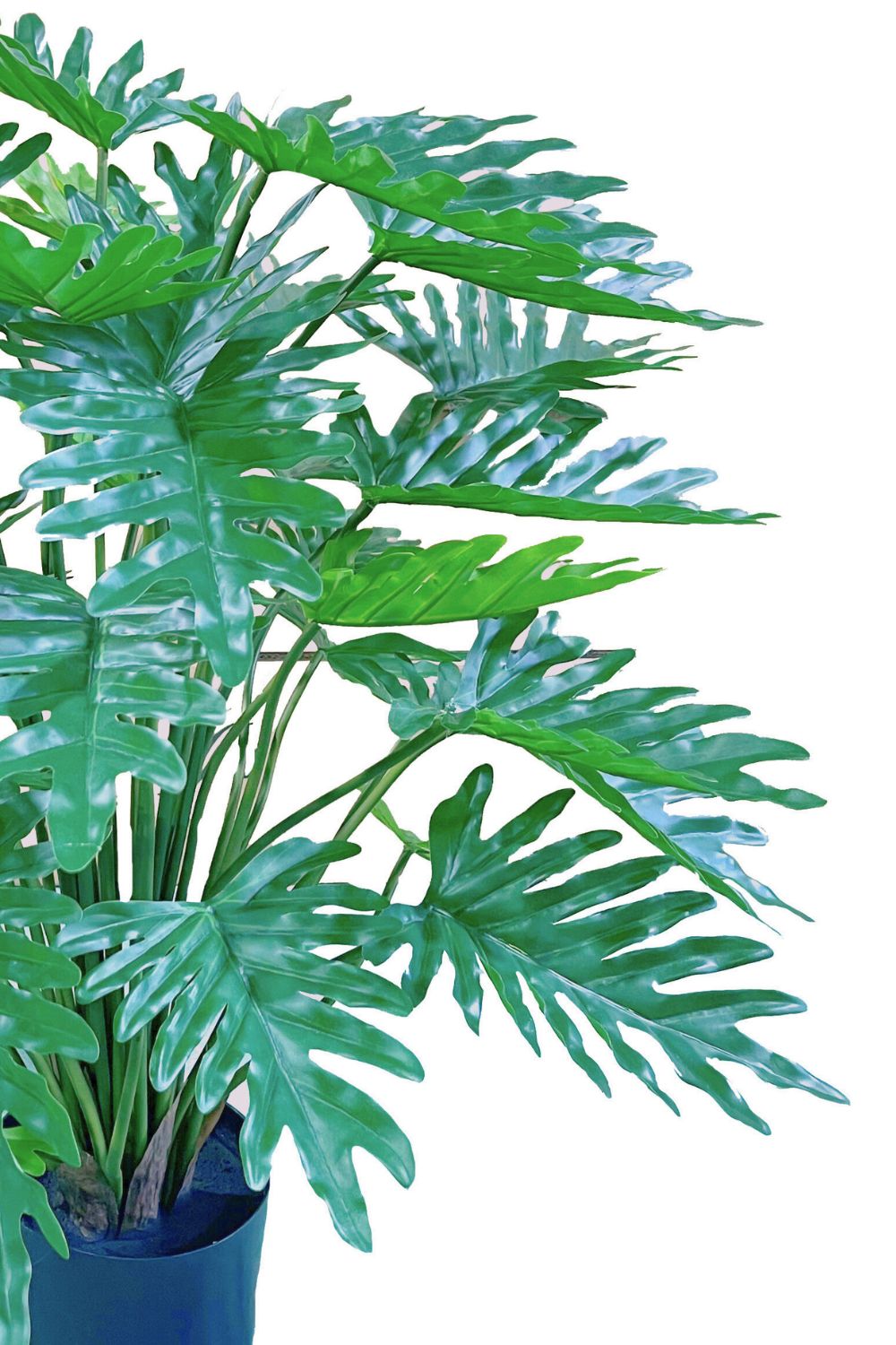 Philodendron Kunstpflanze 75cm