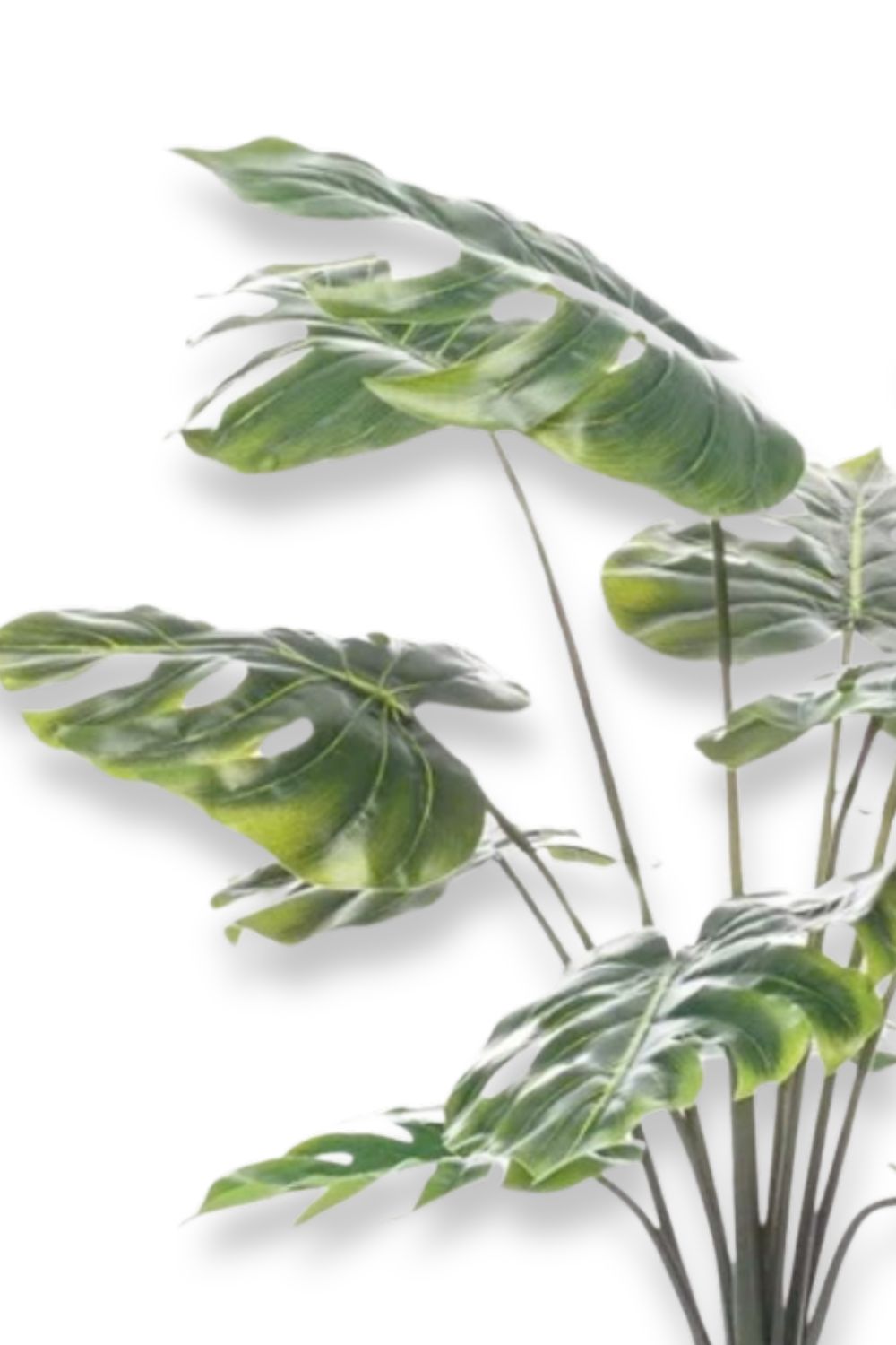 Monstera Kunstpflanze 80cm