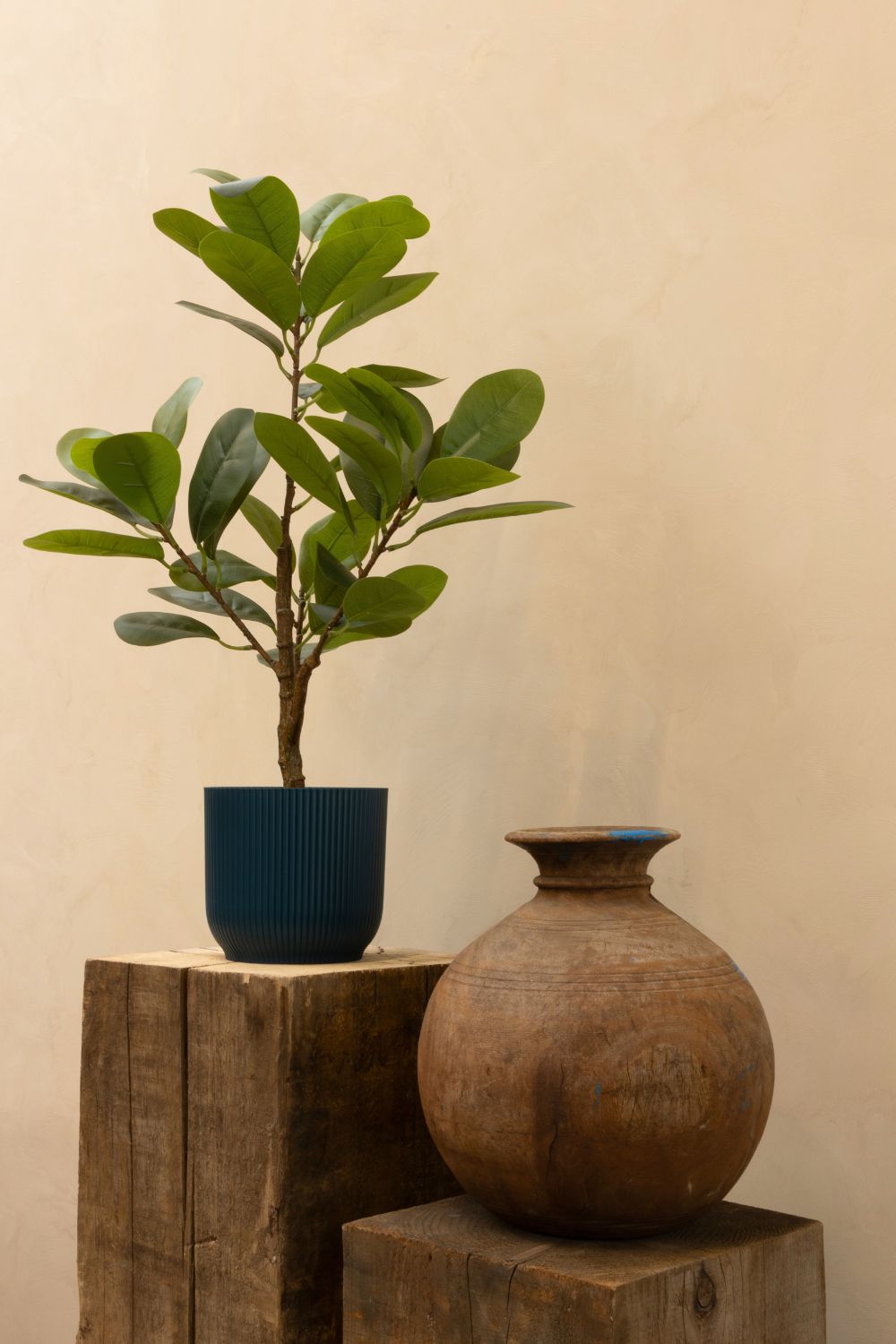 Ficus Kunstpflanze 80cm