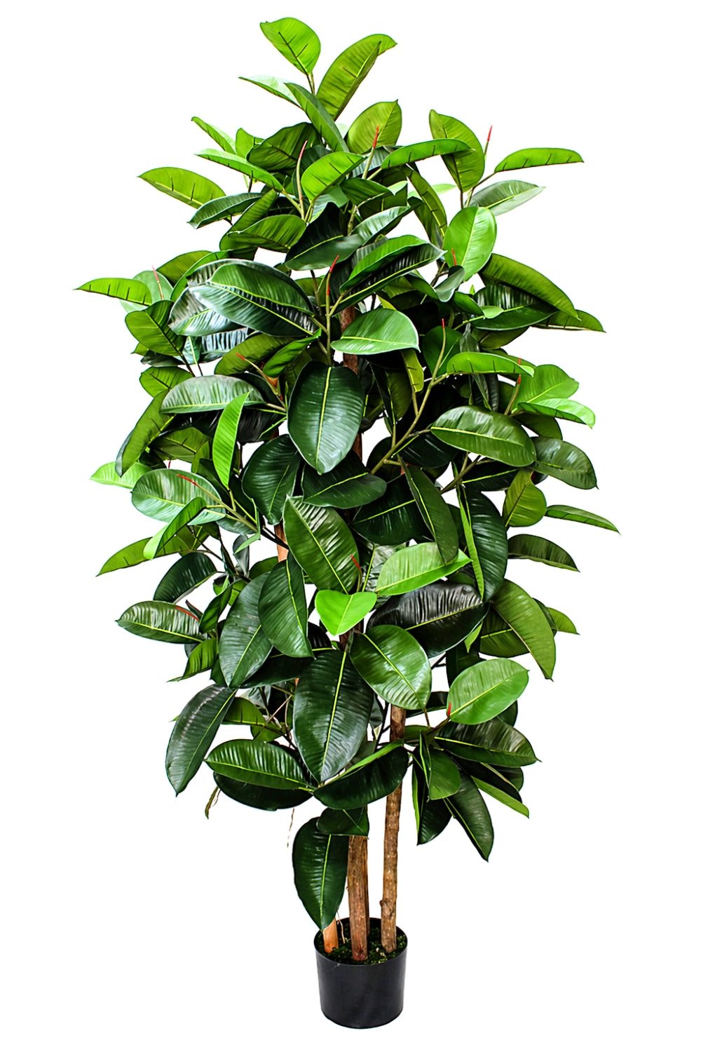 Vorbestellung Ficus Elastica Kunstpflanze 180cm