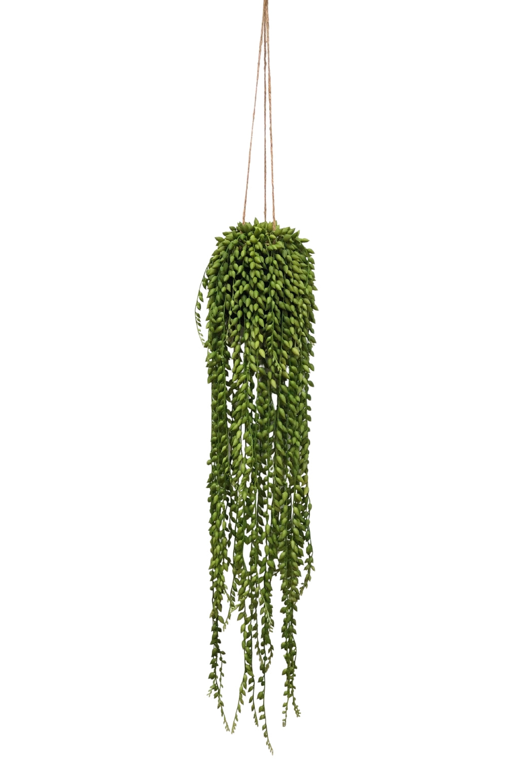 Senecio Kunst-Hängepflanze 75 cm