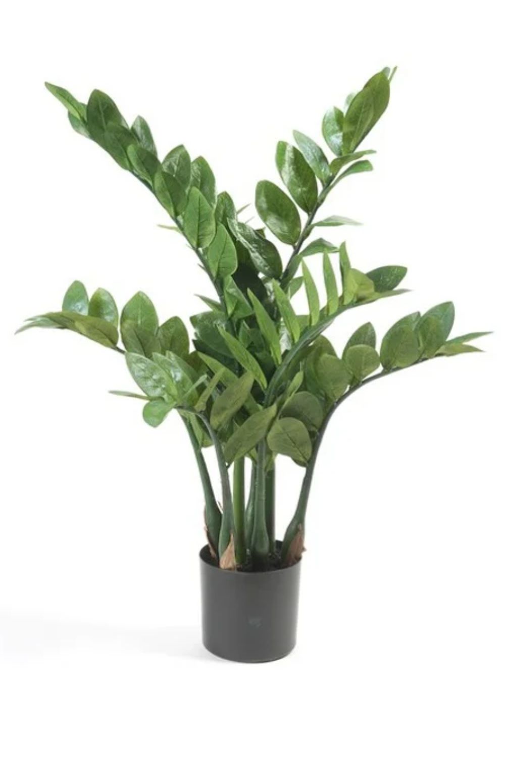 Zamioculcas Kunstpflanze 70cm