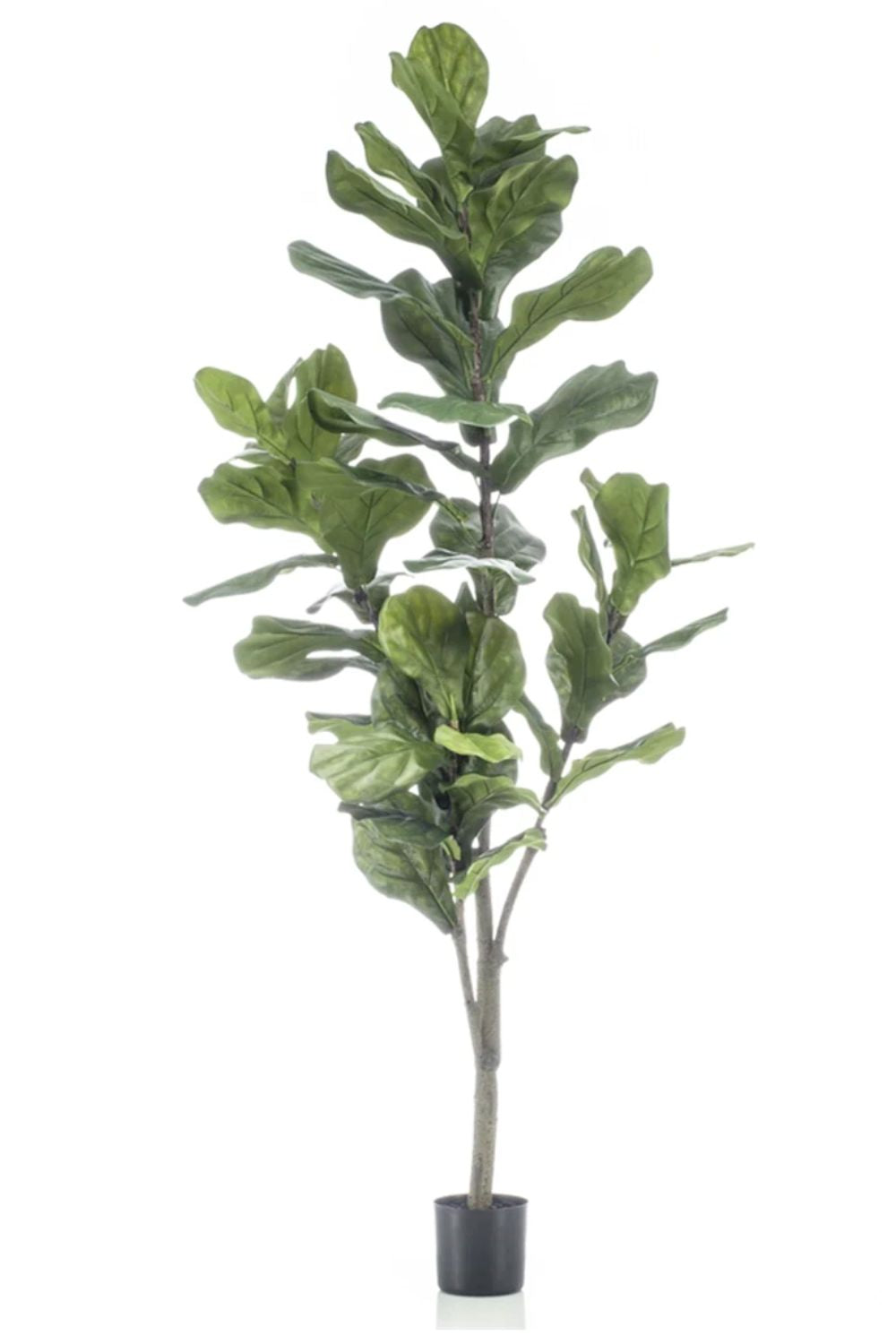 Ficus Lyrata Kunstpflanze 150cm