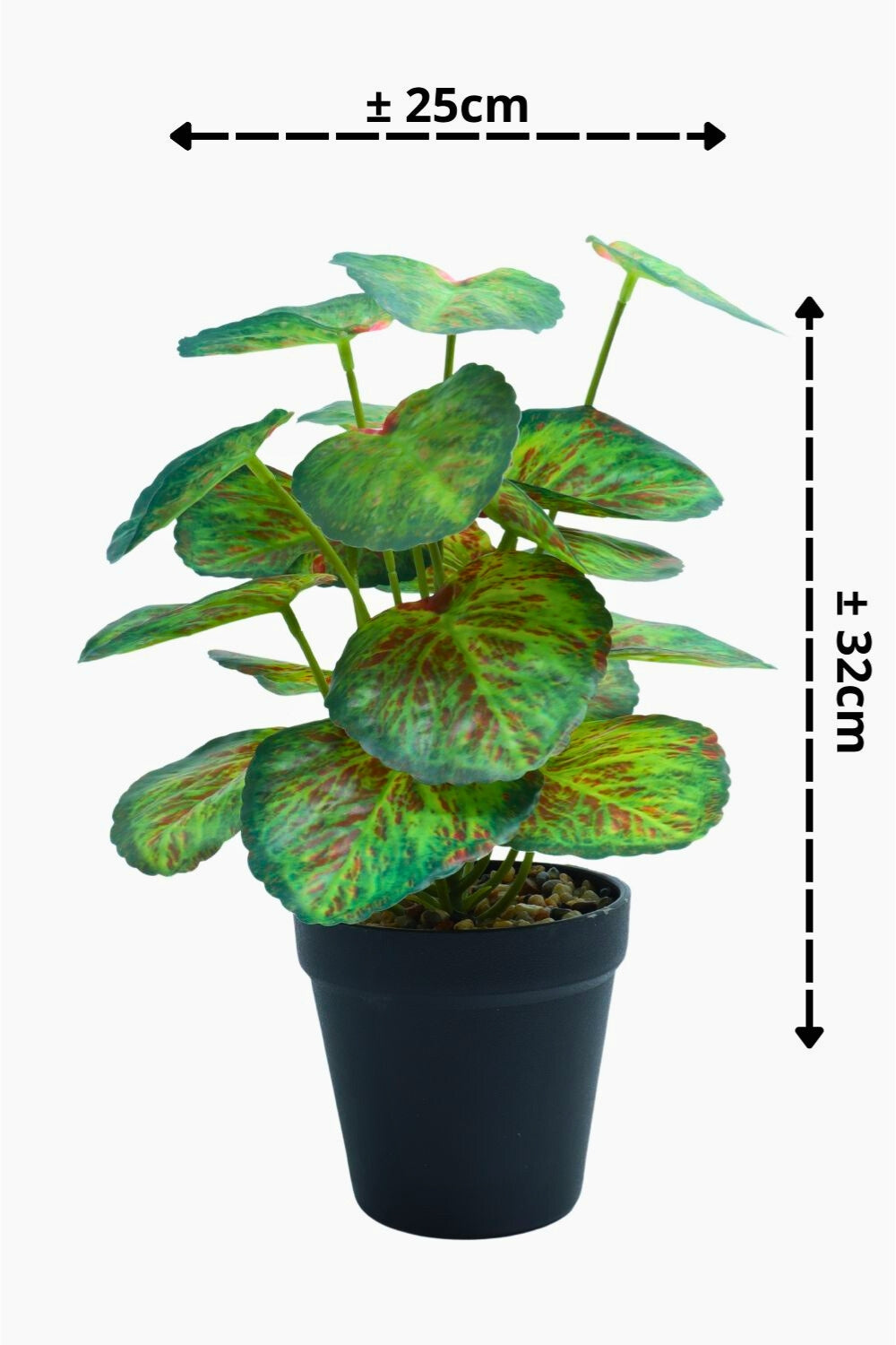 Taro Kunstpflanze 32 cm – PrettyPflanzen