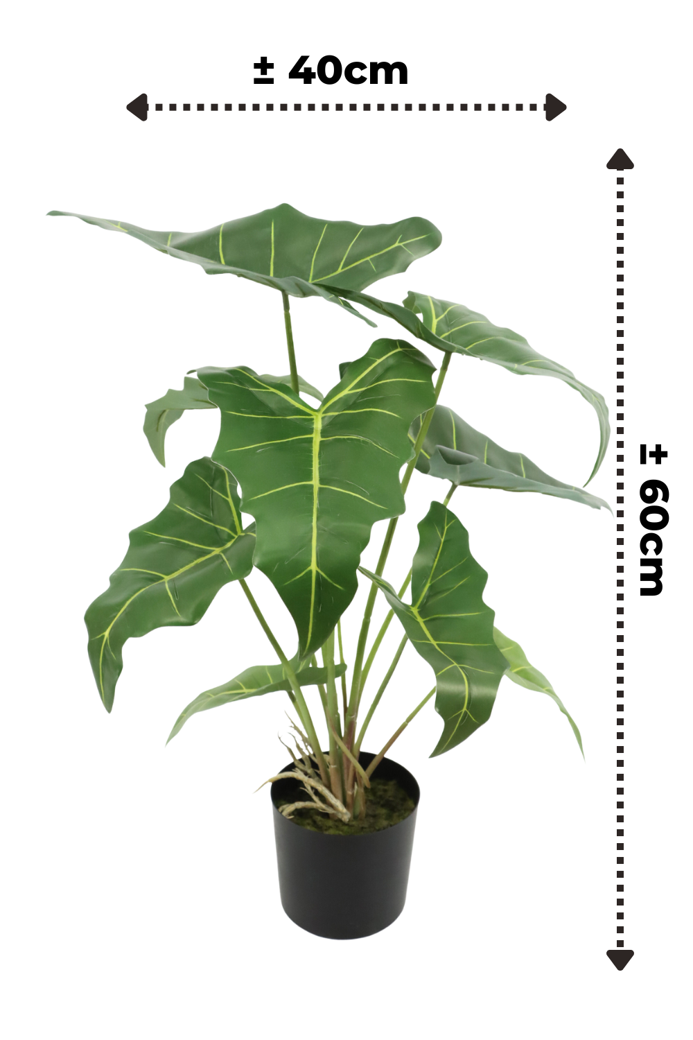 Alocasia Kunstpflanze 60cm