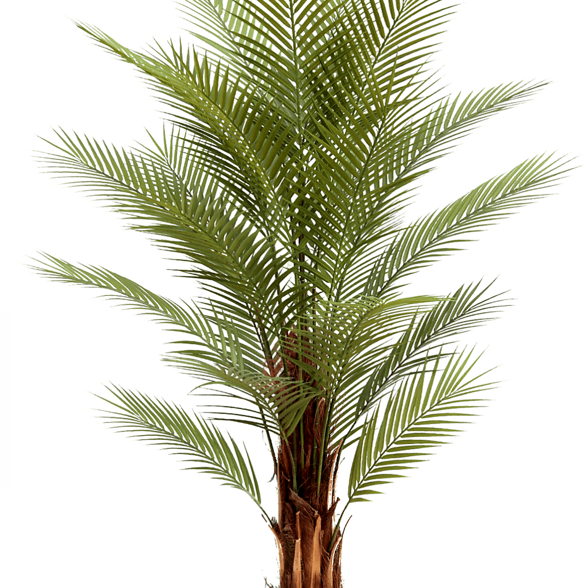 Palme Kunstpflanze 150cm schnell gnstig online kaufen