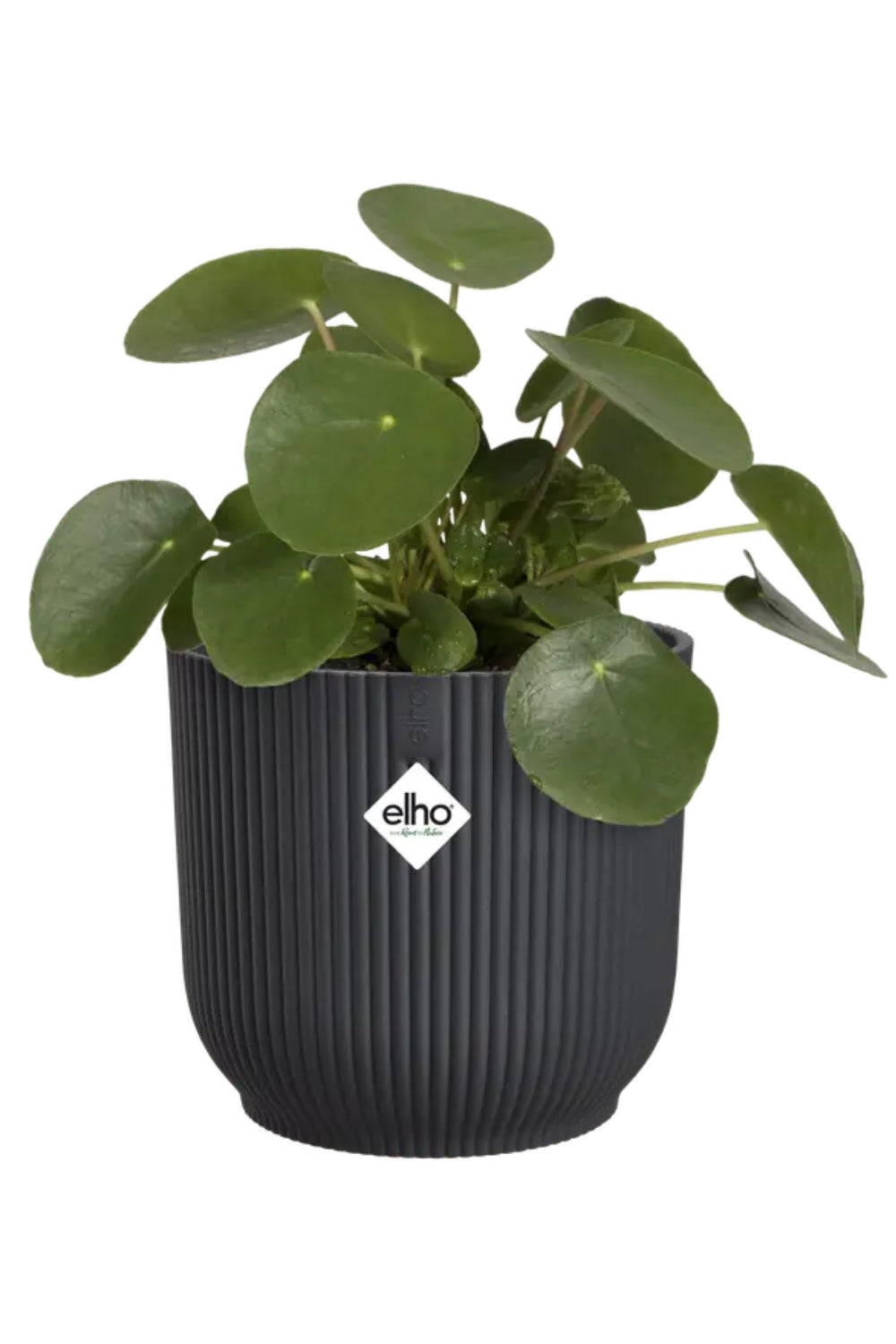 Blumentopf Elho Vibes Fold Rund 18 cm Anthrazit