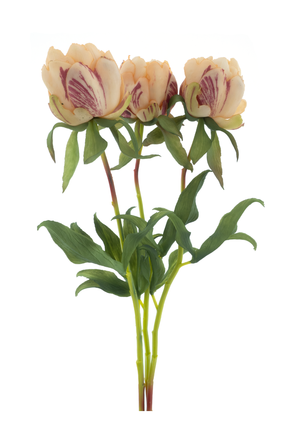 Pfingstrosenbündel 3-tlg. Pfirsich 48cm