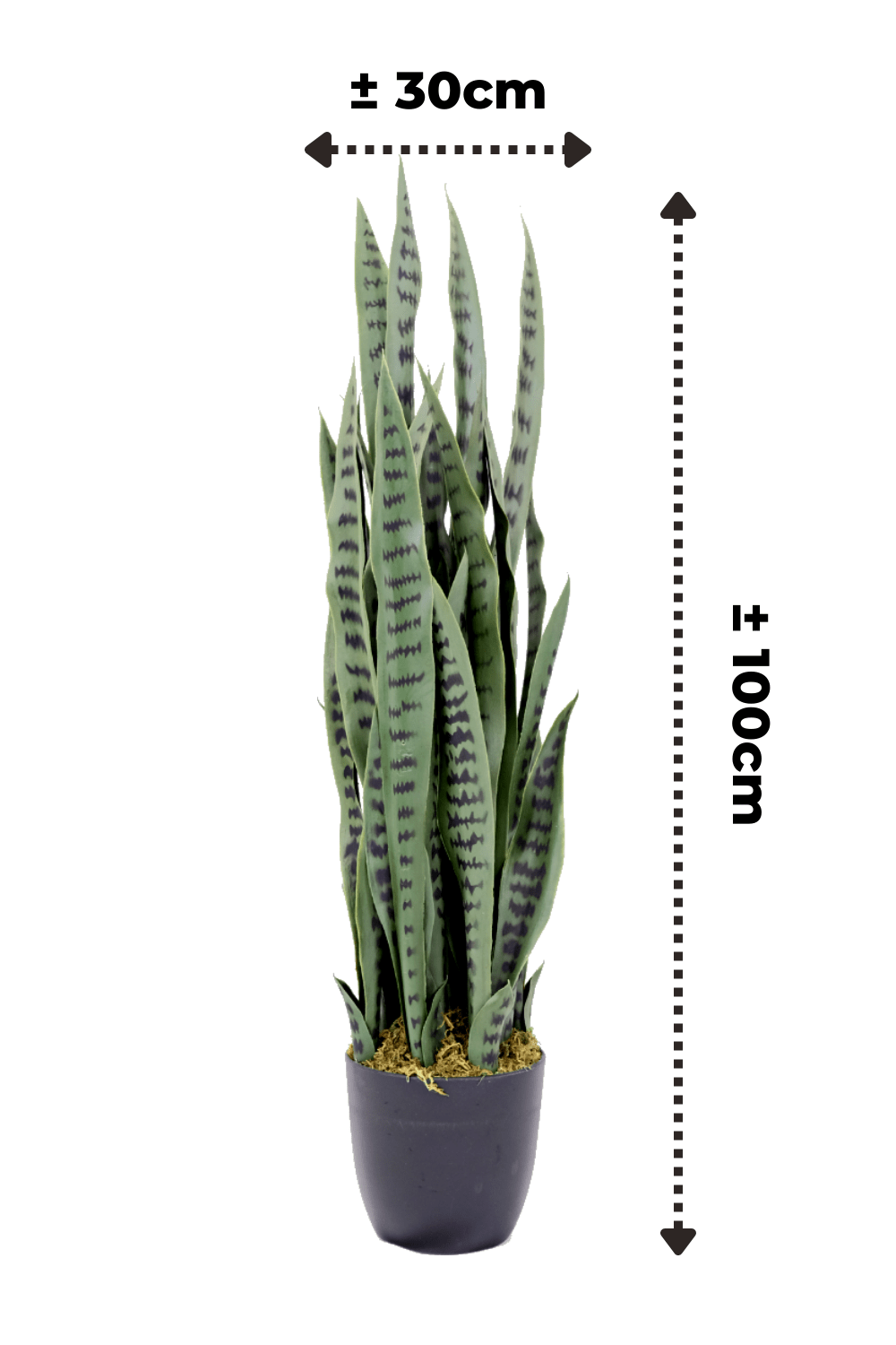 afmetingen Sansevieria Kunstplant 100cm