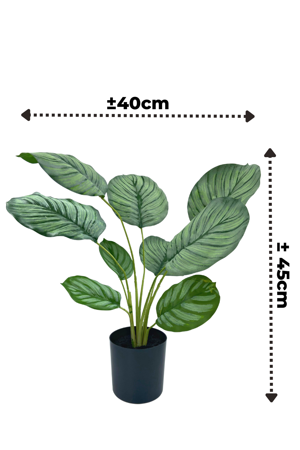 Calathea Kunstpflanze 45cm