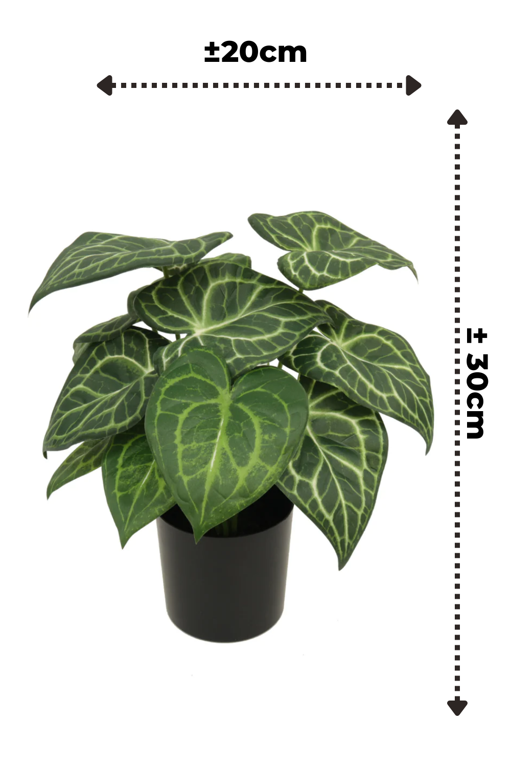 Afmetingen Syngonium kleine kunstplant 30cm