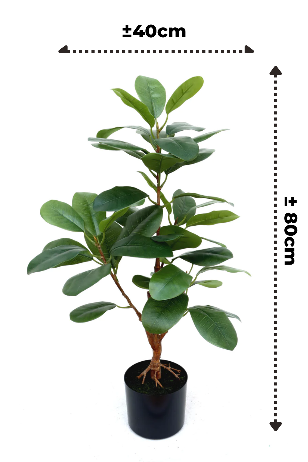 Ficus kunstplant 80cm afmetingen 