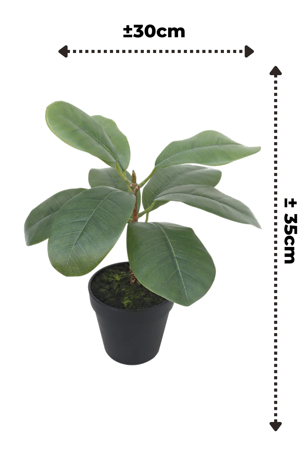 afmetingen Ficus kunstplant 35cm