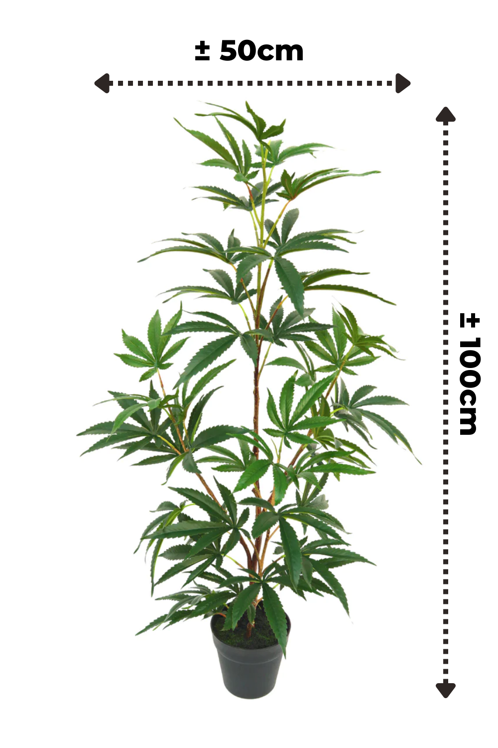 afmetingen Aralia kunstplant 100cm