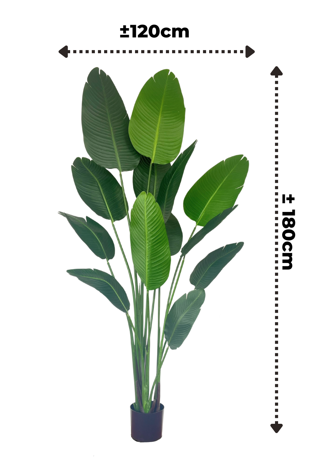 Kunstpflanze Versand 180cm Kostenloser | PrettyPflanzen Strelitzie |