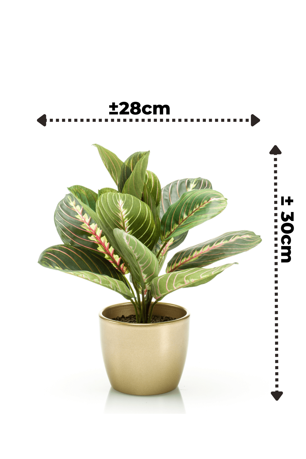 Maranta Bush Kunstpflanze im goldenen Topf 30cm