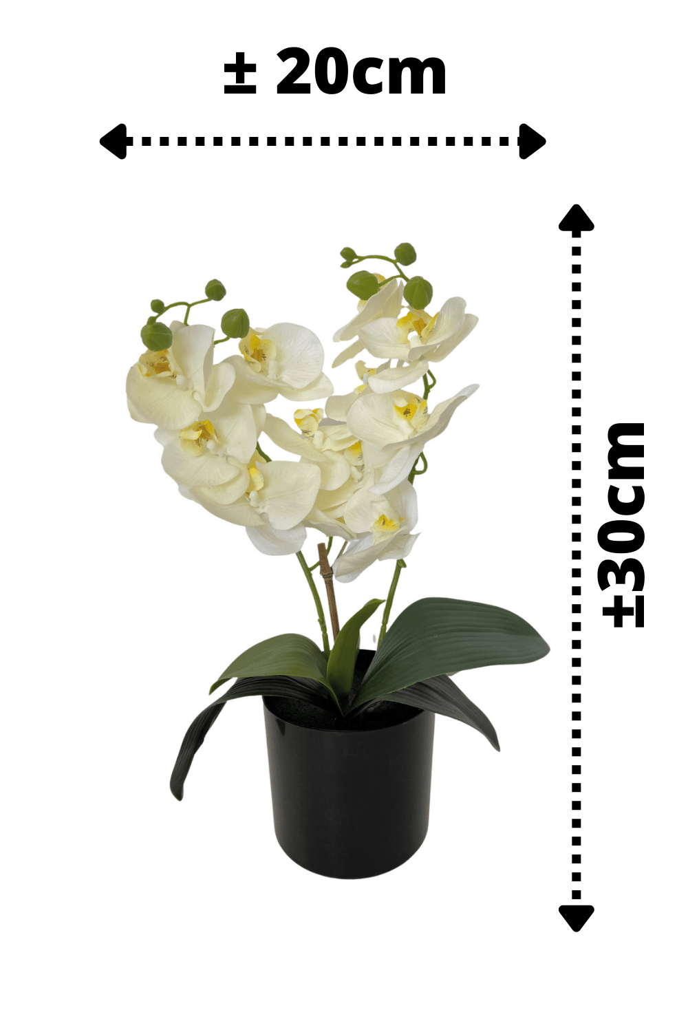 afmetingen Kunst Orchidee Wit 30cm