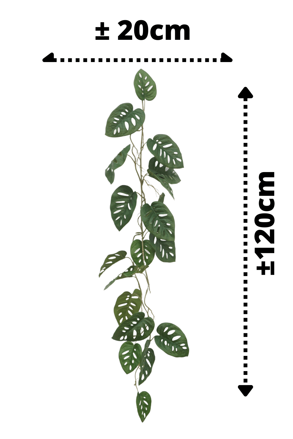 afmetingen Monstera Monkey Bush Kunstslinger 120cm