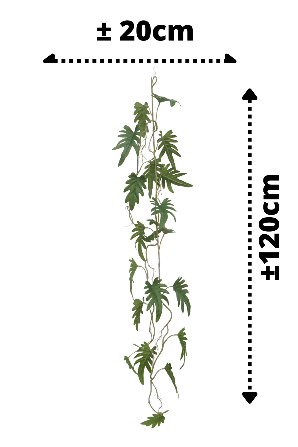 afmetingen Philodendron kunstslinger 120cm