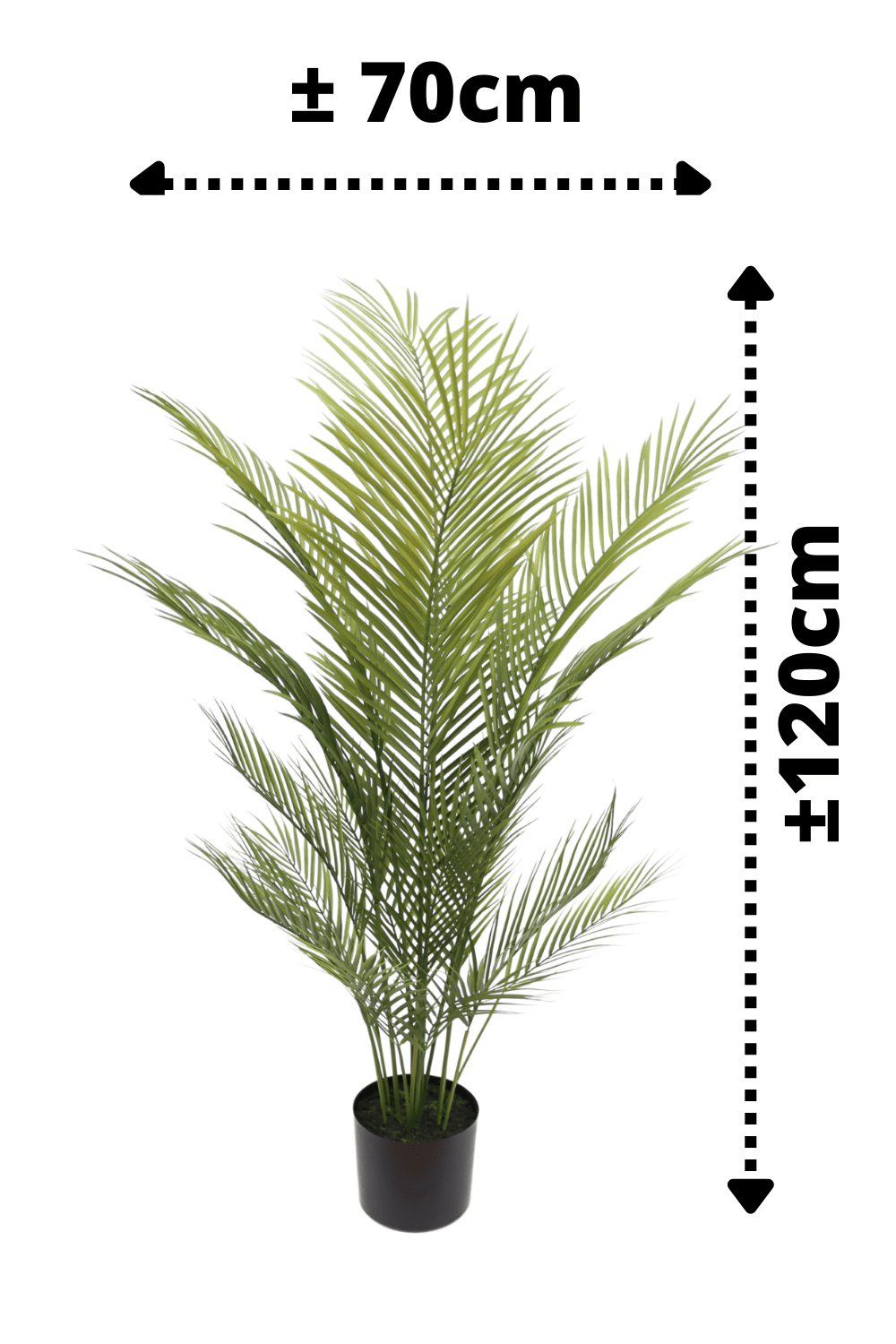 afmetingen Kunstpalm 120cm