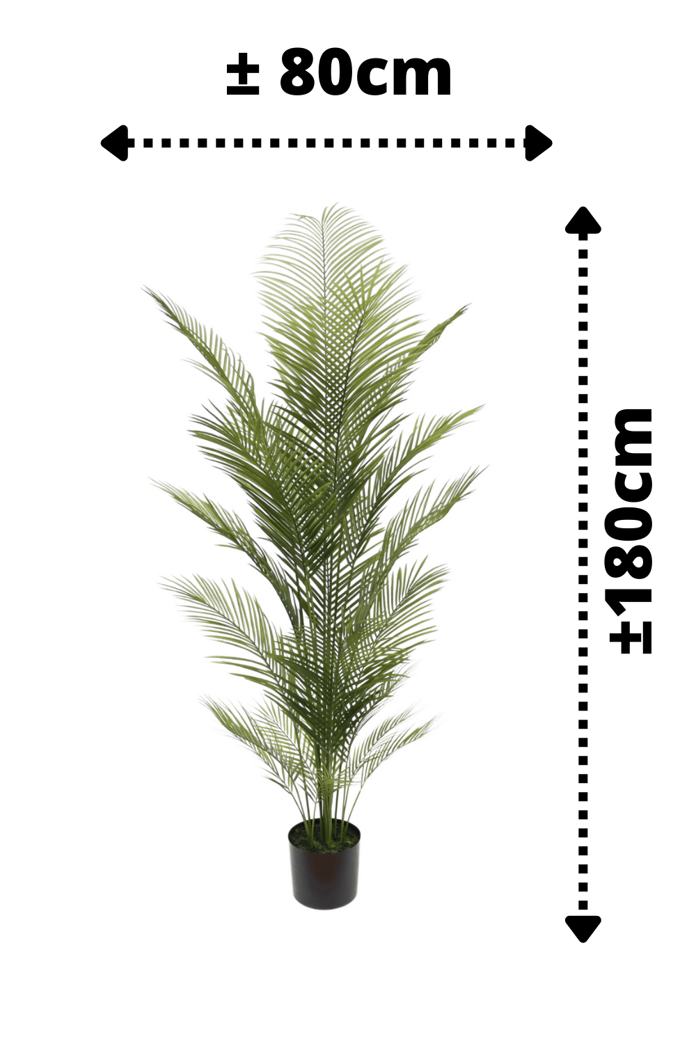 afmetingen Kunstpalm 4 180cm