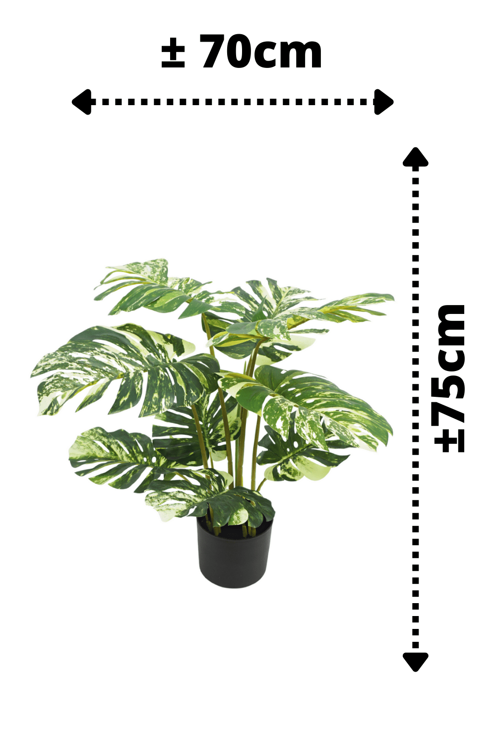 afmetingen Monstera Kunstplant 75cm