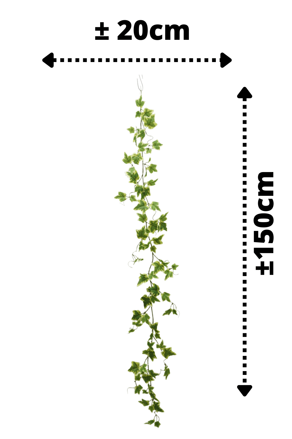 afmetingen Hedera Kunstslinger 1 150cm