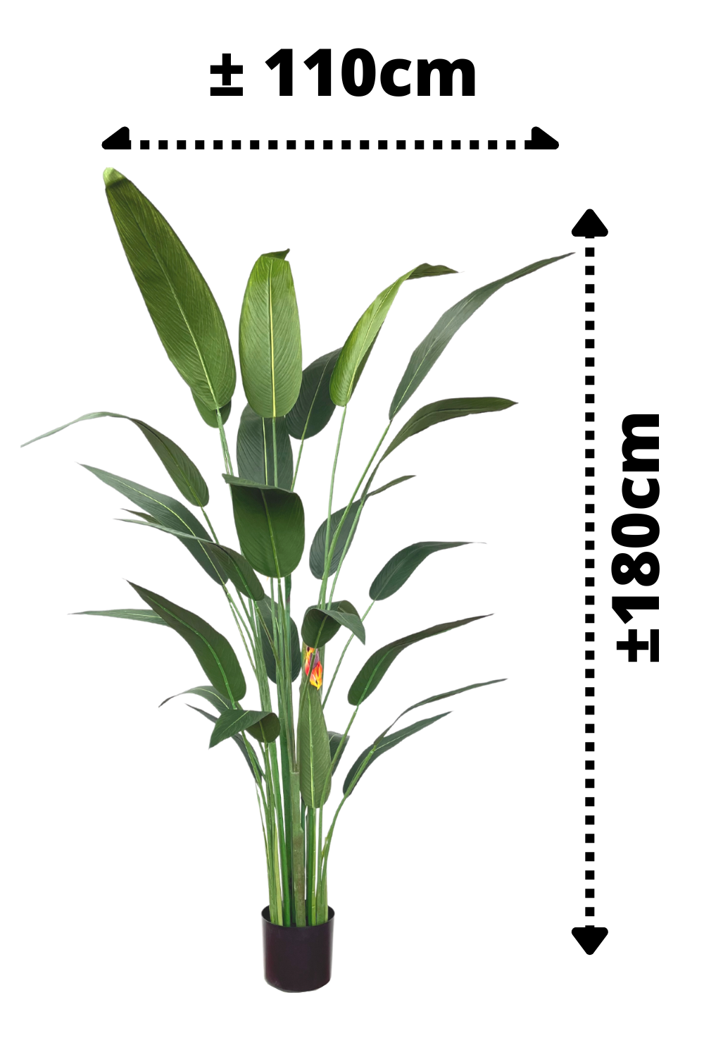 afmetingen Strelitzia Kunstplant Met Bloem 180cm