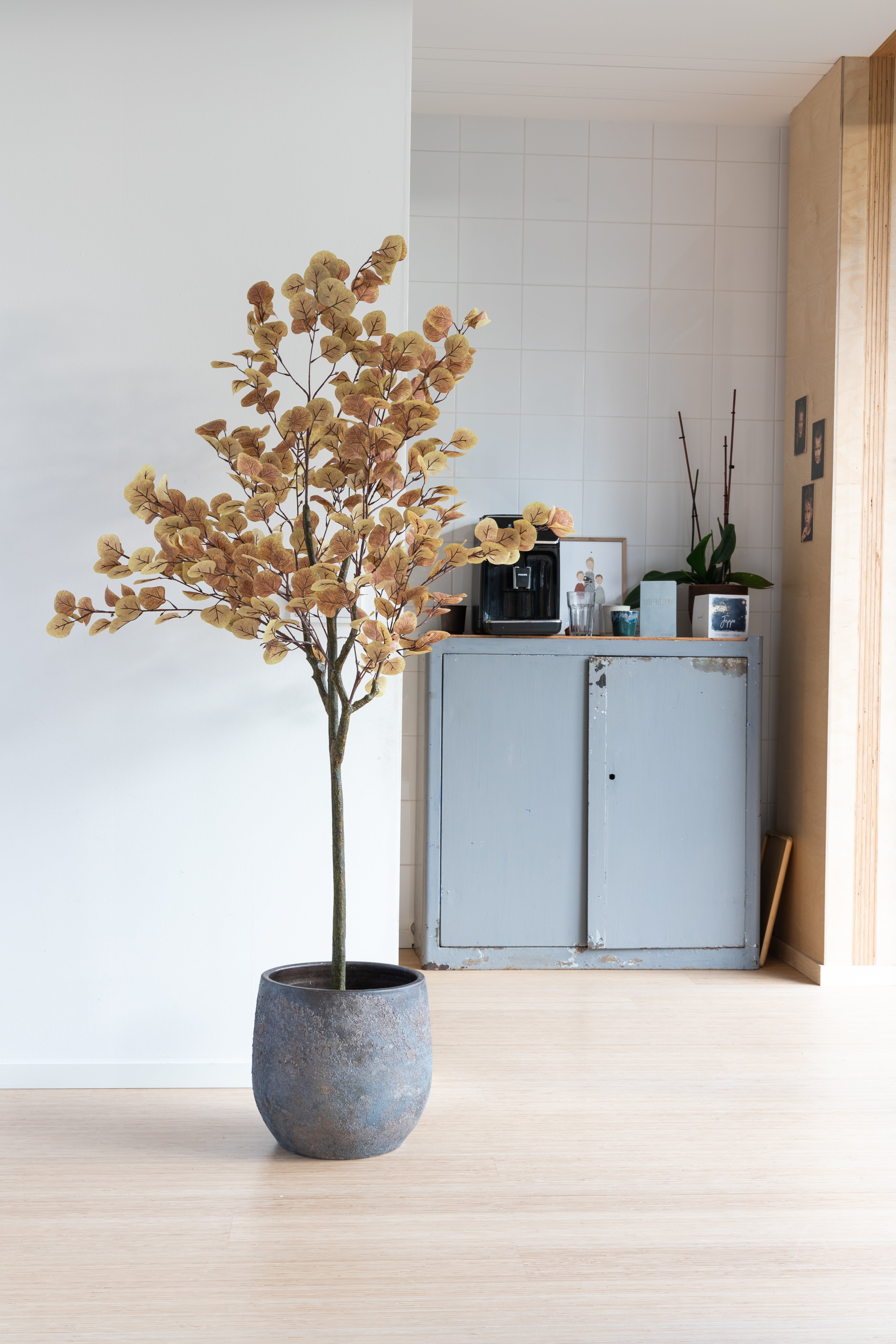 sfeerbeeld 2 Eucalyptus Kunstboom Roest 160cm