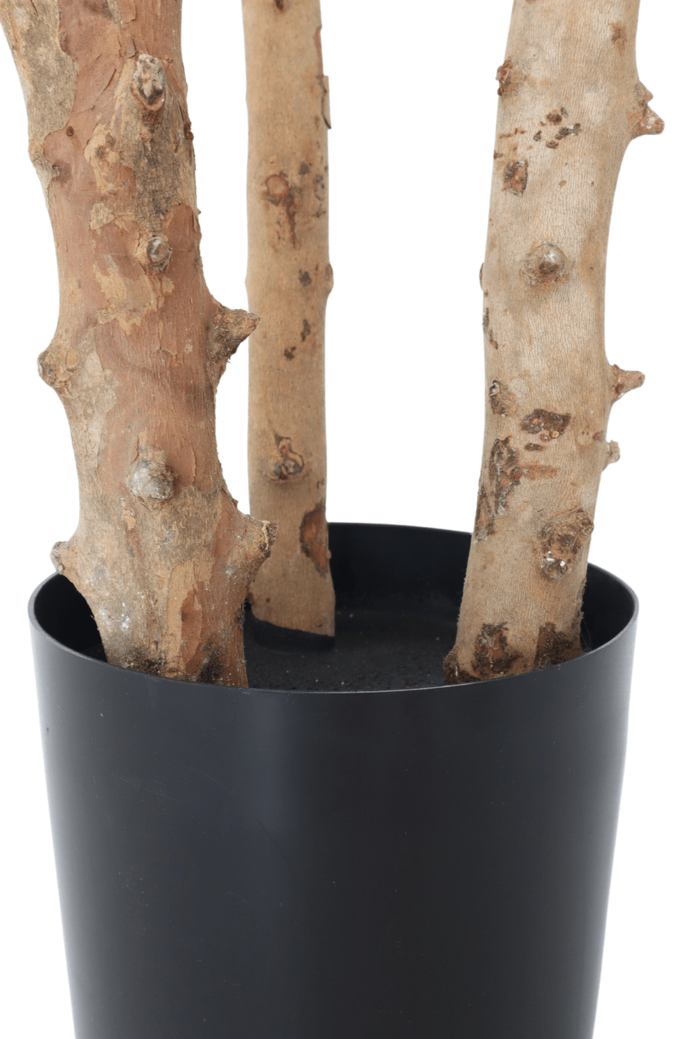 stam Ficus Kunstplant 150cm