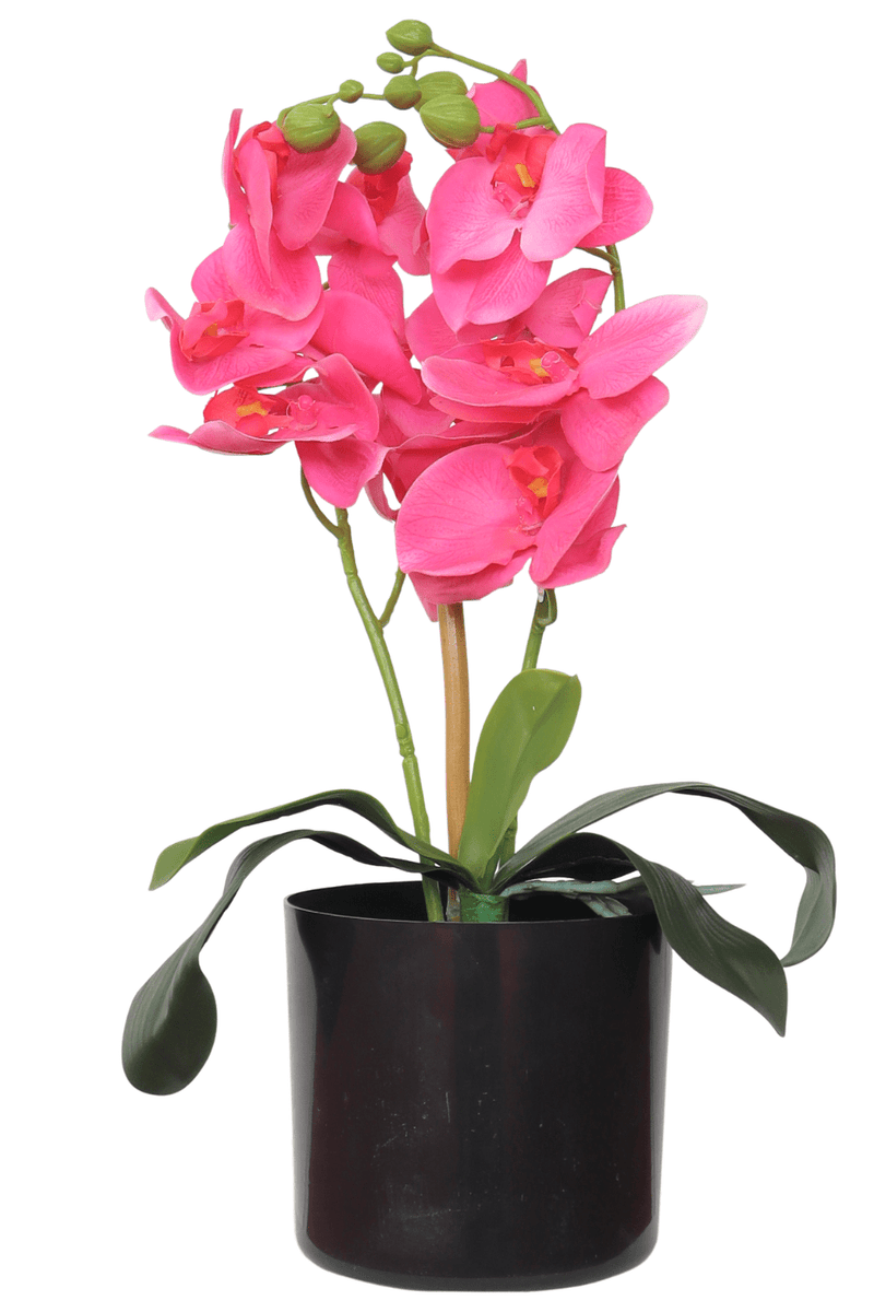 Orchidee Kunstpflanze Rosa Bestellen? PrettyPflanzen | 30cm