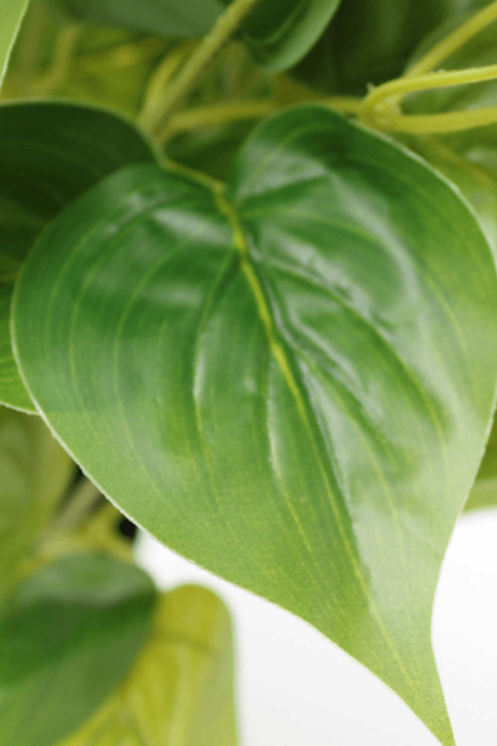 blad Dieffenbachia Kunstplant 45cm