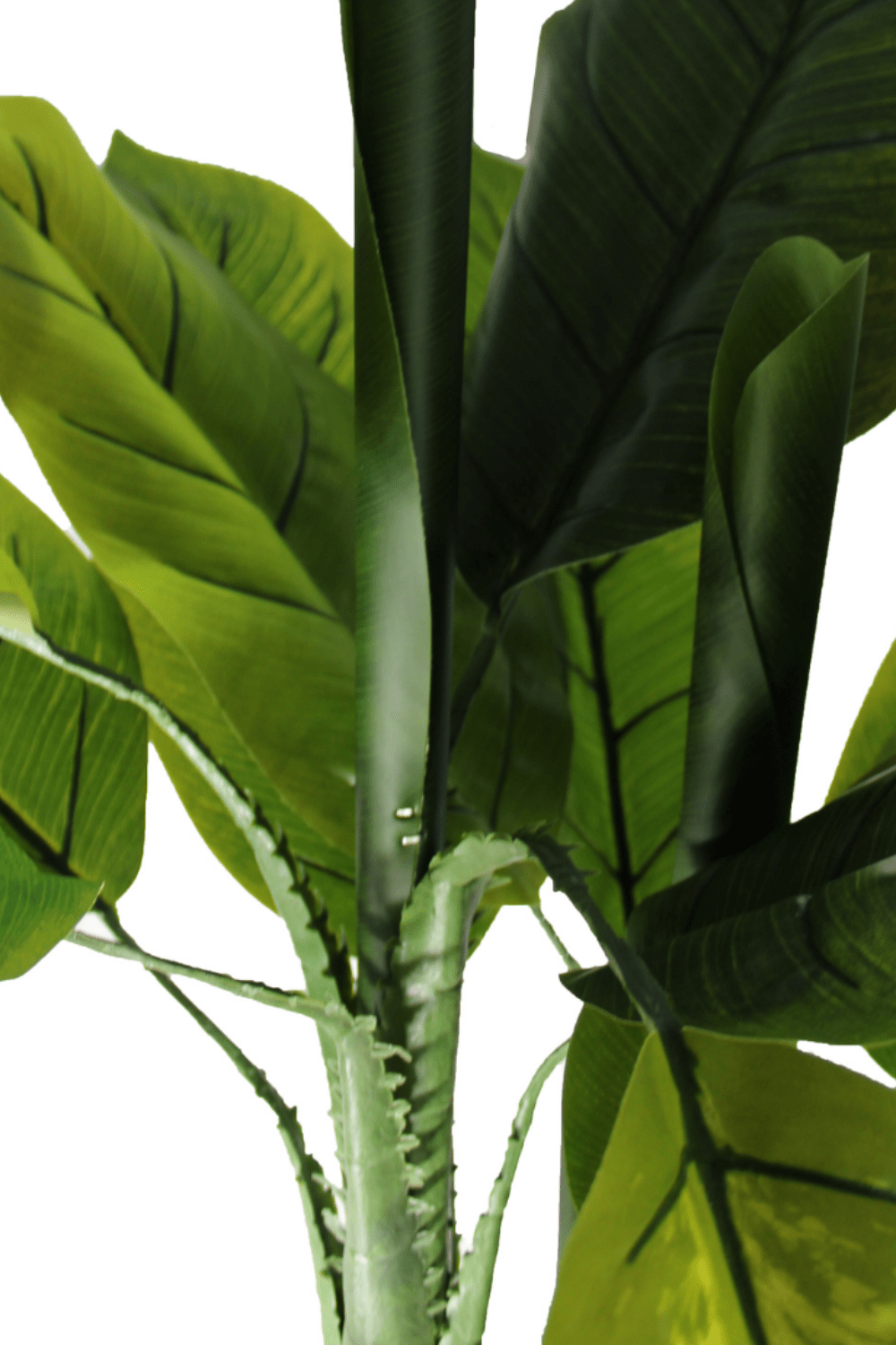 details Dieffenbachia Kunstplant 90cm