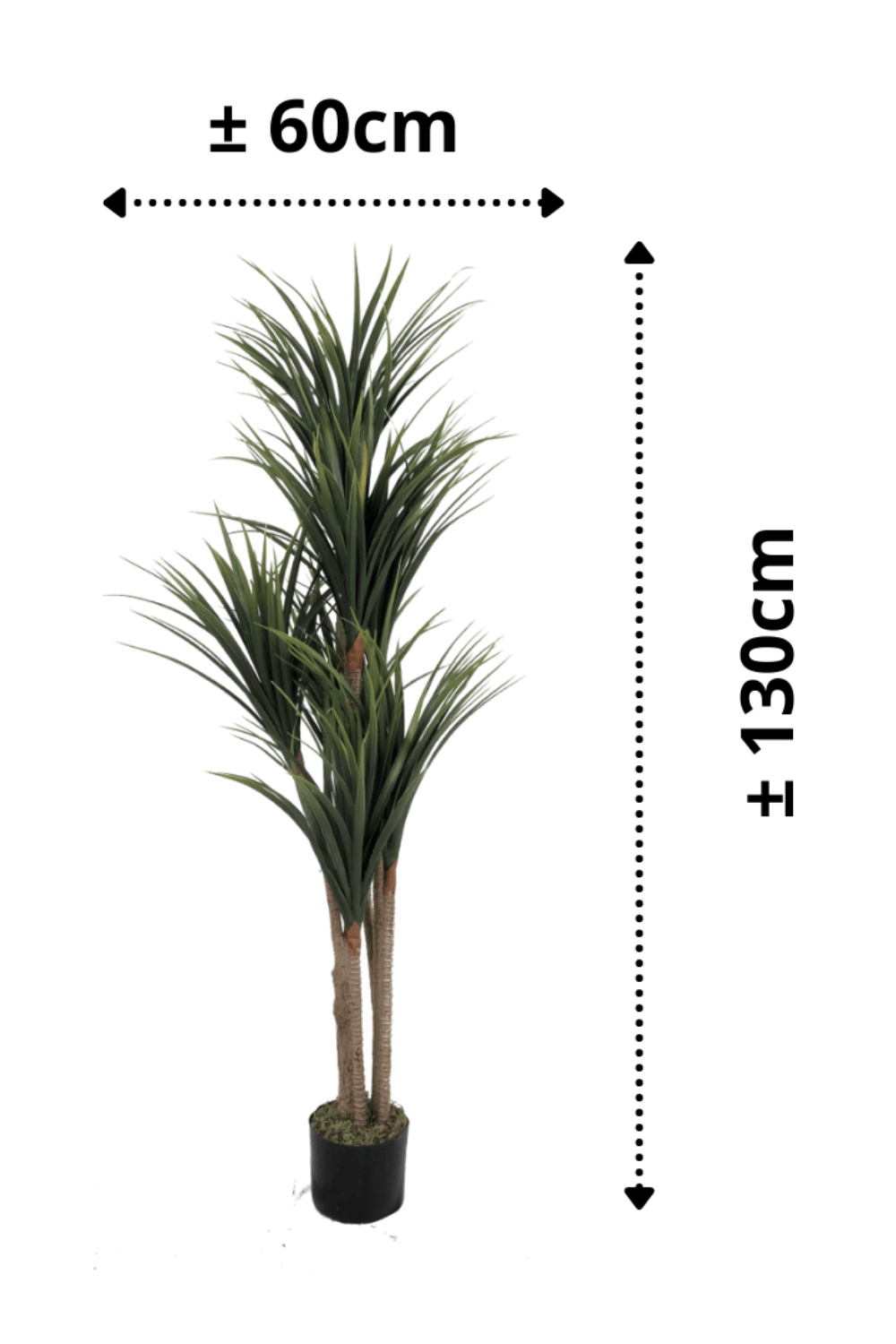 afmetingen Dracaena Kunstplant 130cm