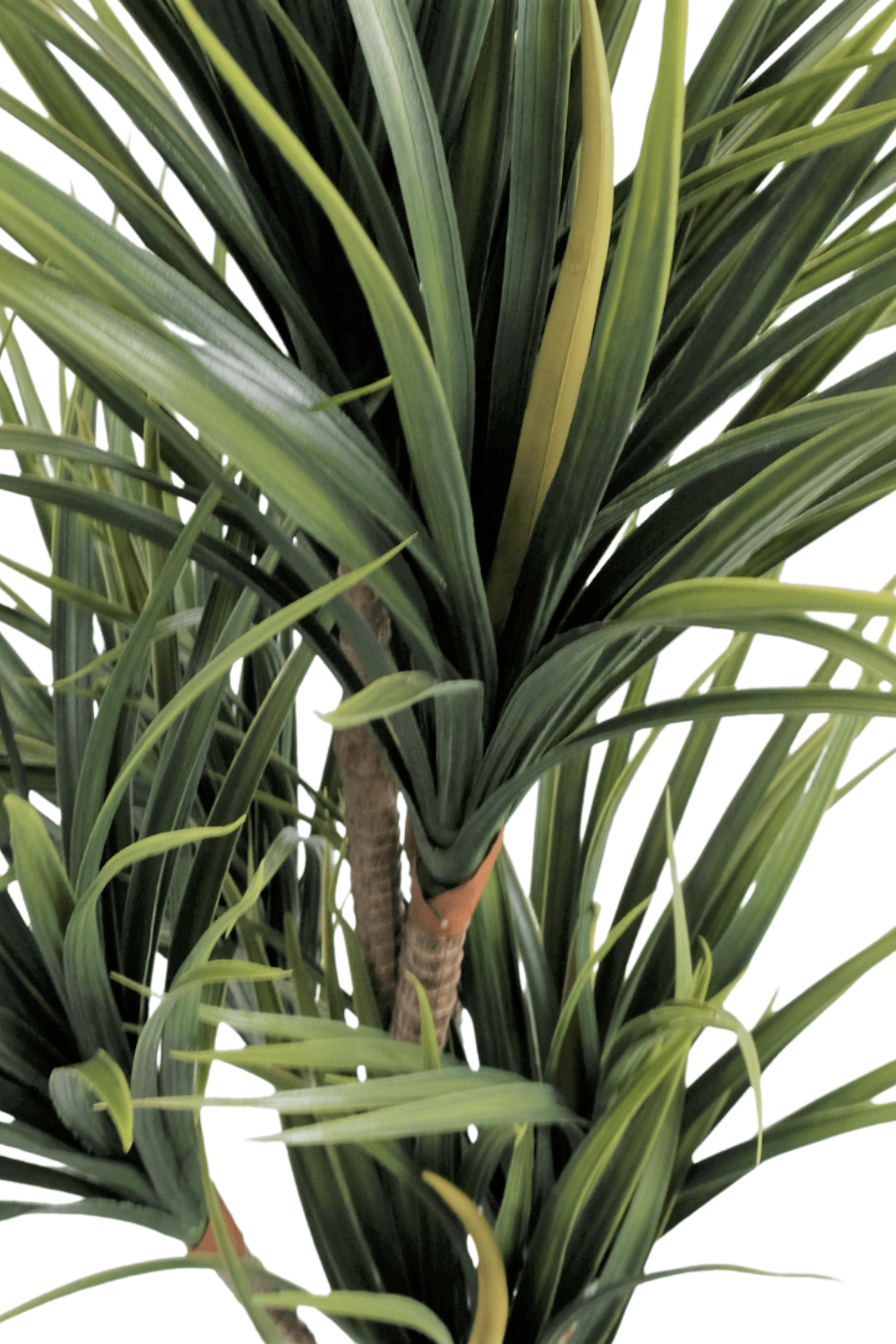 bladeren Dracaena Kunstplant 170cm