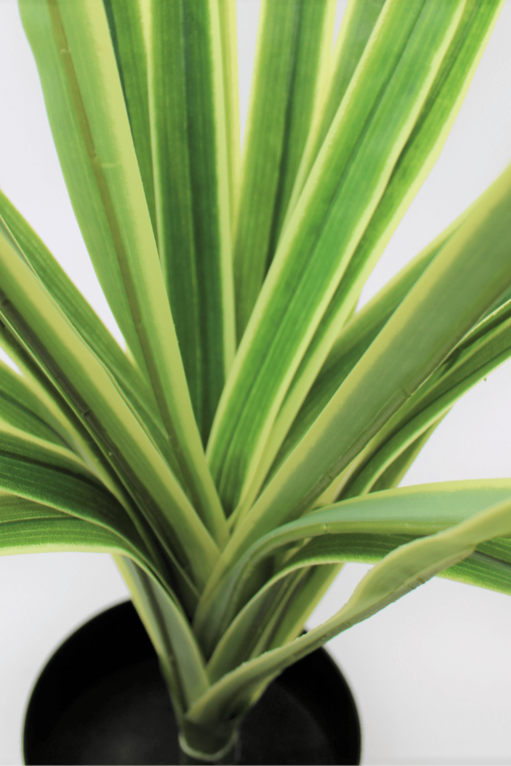 details Dracaena Kunstplant 60cm