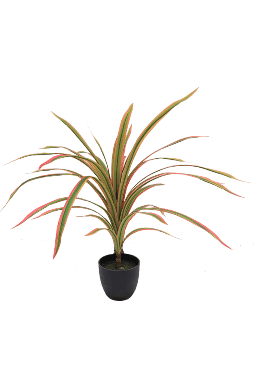 Dracaena Kunstplant 60cm oranje