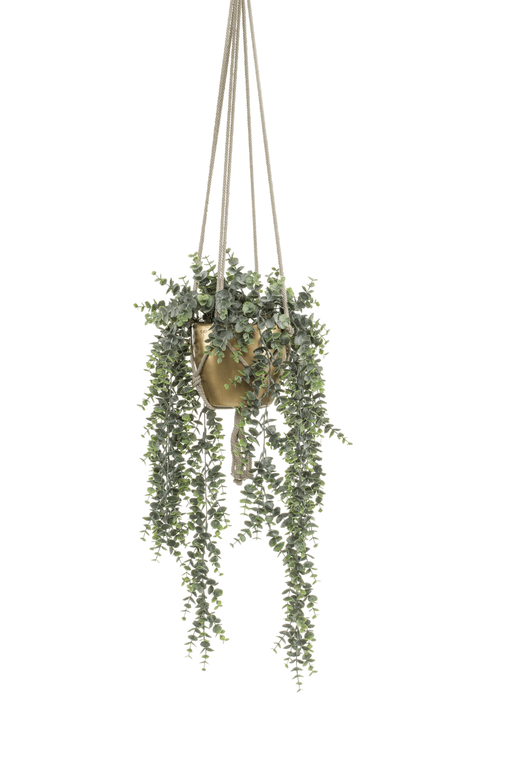 Eukalyptus künstliche Hängepflanze im goldenen Topf 75cm