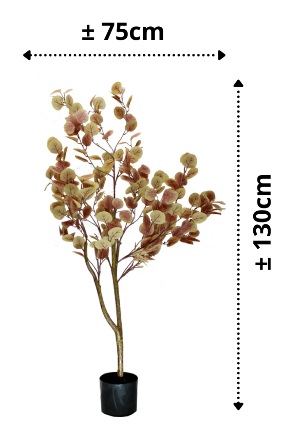 afmetingen Eucalyptus Kunstboom Roest 130cm