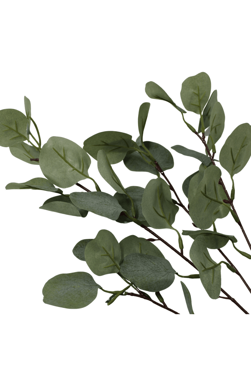 65 PrettyPflanzen cm Kunstzweig | Eukalyptus